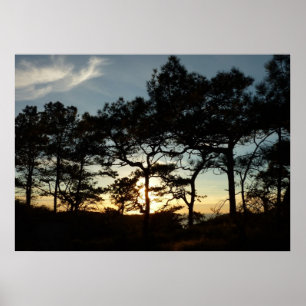 Torrey Pine Sunset II Kalifornien Landschaft Poster