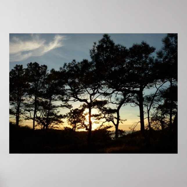 Torrey Pine Sunset II Kalifornien Landschaft Poster (Vorne)