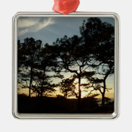 Torrey Pine Sunset II Kalifornien Landschaft Silbernes Ornament