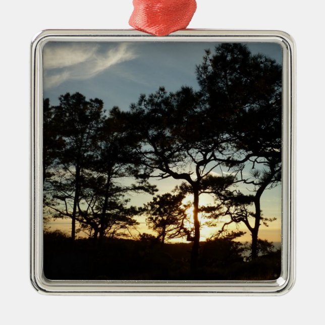 Torrey Pine Sunset II Kalifornien Landschaft Silbernes Ornament (Vorne)