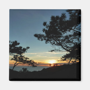 Torrey Pine Sunset III California Landschaft Magnet