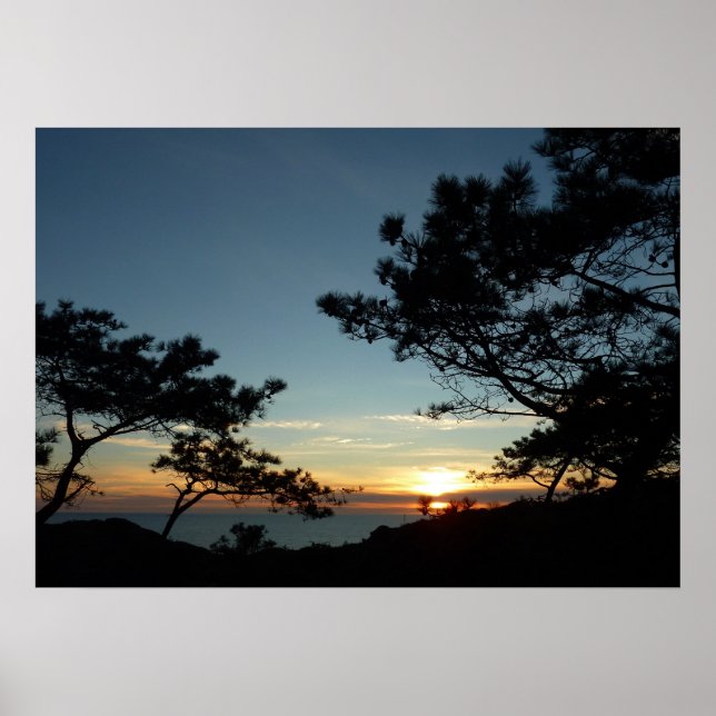 Torrey Pine Sunset III California Landschaft Poster (Vorne)