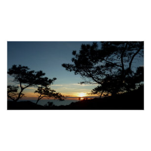 Torrey Pine Sunset III California Landschaft Poster
