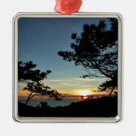 Torrey Pine Sunset III California Landschaft Silbernes Ornament