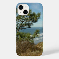 Torrey Pine und California Coastline Landschaft