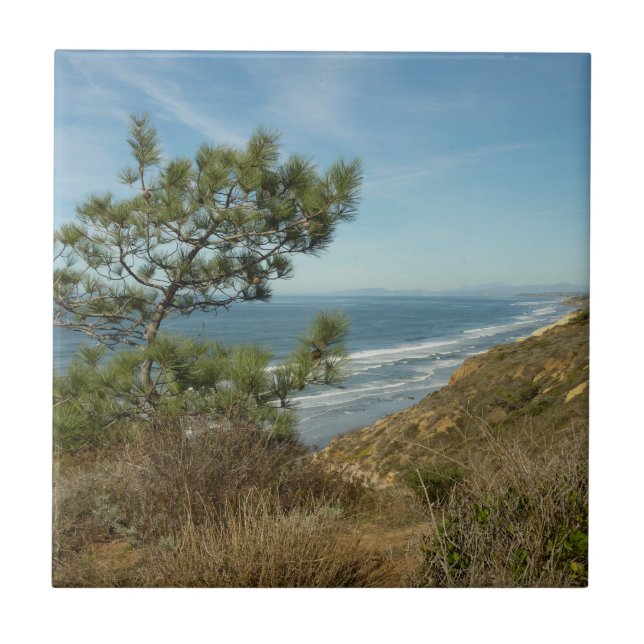 Torrey Pine und California Coastline Landschaft Fliese (Vorderseite)