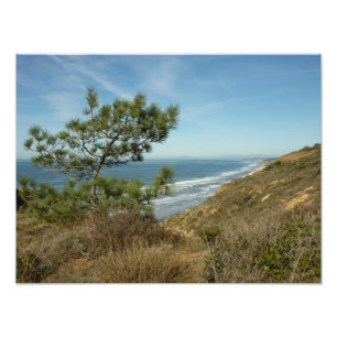 Torrey Pine und California Coastline Landschaft Fotodruck
