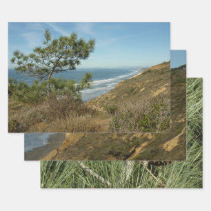 Torrey Pine und California Coastline Landschaft Geschenkpapier Set