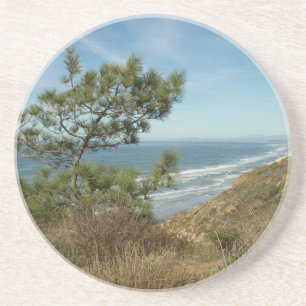Torrey Pine und California Coastline Landschaft Getränkeuntersetzer