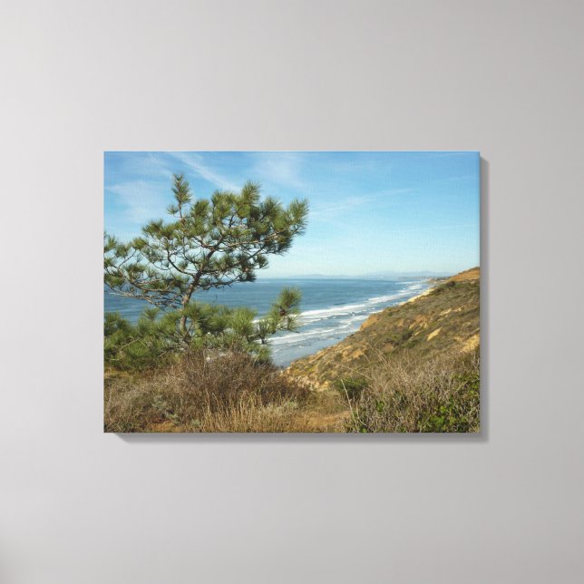 Torrey Pine und California Coastline Landschaft Leinwanddruck (Vorderseite)