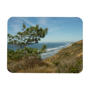 Torrey Pine und California Coastline Landschaft Magnet