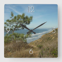 Torrey Pine und California Coastline Landschaft