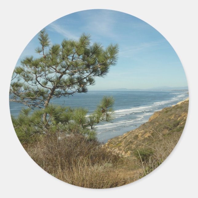 Torrey Pine und California Coastline Landschaft Runder Aufkleber (Vorderseite)