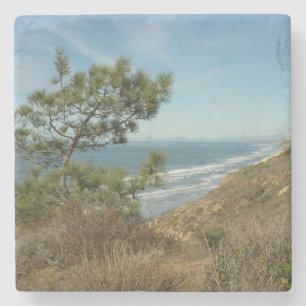 Torrey Pine und California Coastline Landschaft Steinuntersetzer
