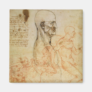 Torso eines Mannes in Profil, der Kopf Platz für P Magnet