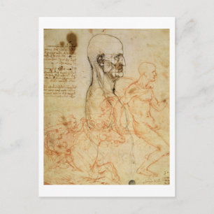 Torso eines Mannes in Profil, der Kopf Platz für P Postkarte