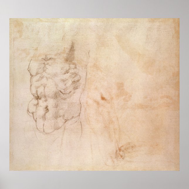 Torso-Studie Poster (Vorne)