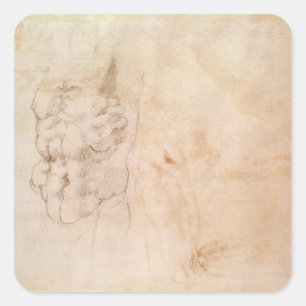 Torso-Studie Quadratischer Aufkleber