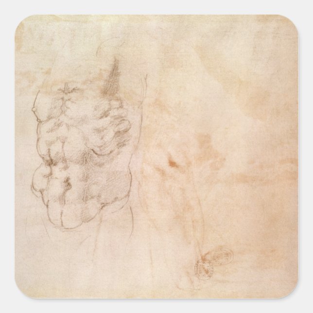 Torso-Studie Quadratischer Aufkleber (Vorderseite)