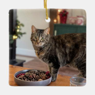 Torti Kitty Weihnachtsschmuck