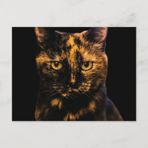 Tortie Cat Liebe Design #2 Postkarte
