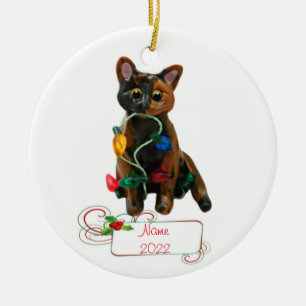 Tortie Cat Tortoiseshell Ornament