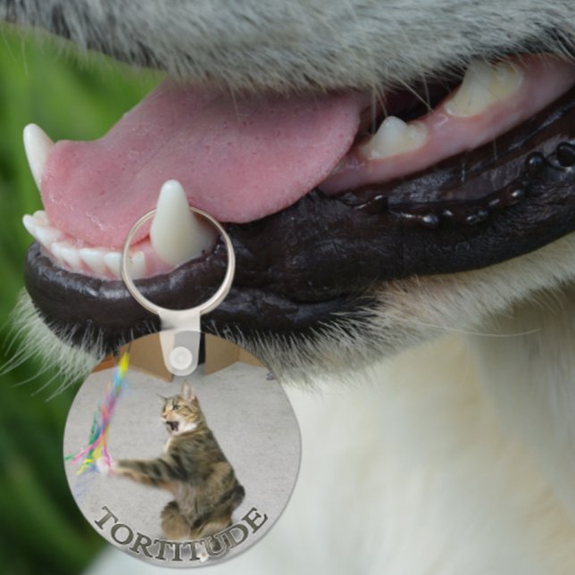 Tortitude cat keychain schlüsselanhänger (Von Creator hochgeladen)