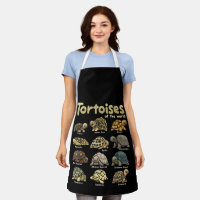 Tortoise Animals of the World Niedlich Reptile Tur