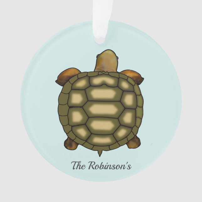Tortoise auf hellblauen Acrylschmuck Ornament (Vorderseite)