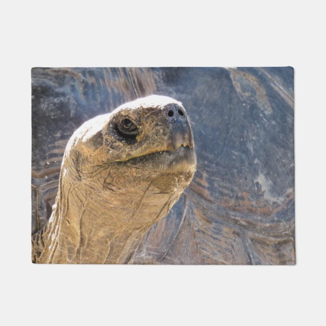 Tortoise begrüßen - Doormat Fußmatte (Vorderseite)