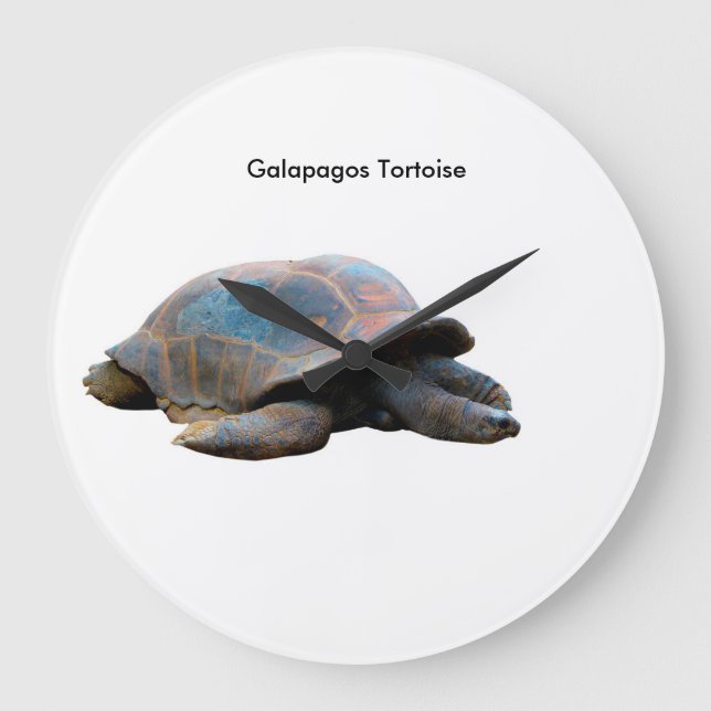 Tortoise-Bild für die Uhr (Vorderseite)