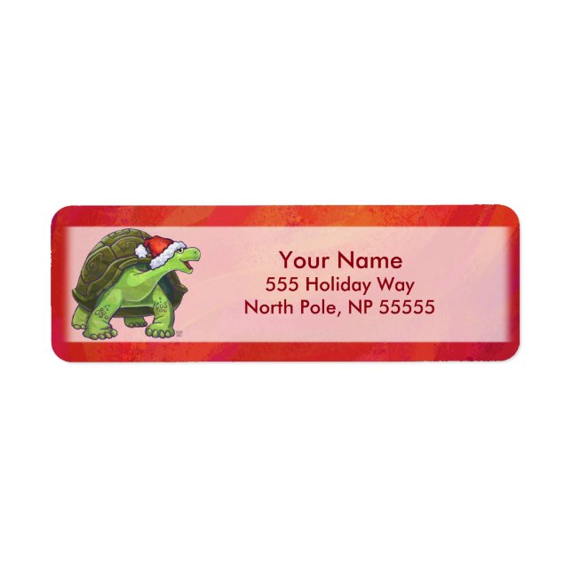 Tortoise Christmas (Vorne)