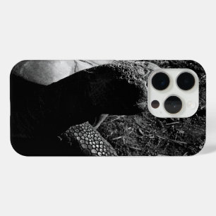 Tortoise Fotografie in Schwarz und Weiß Case-Mate iPhone Hülle