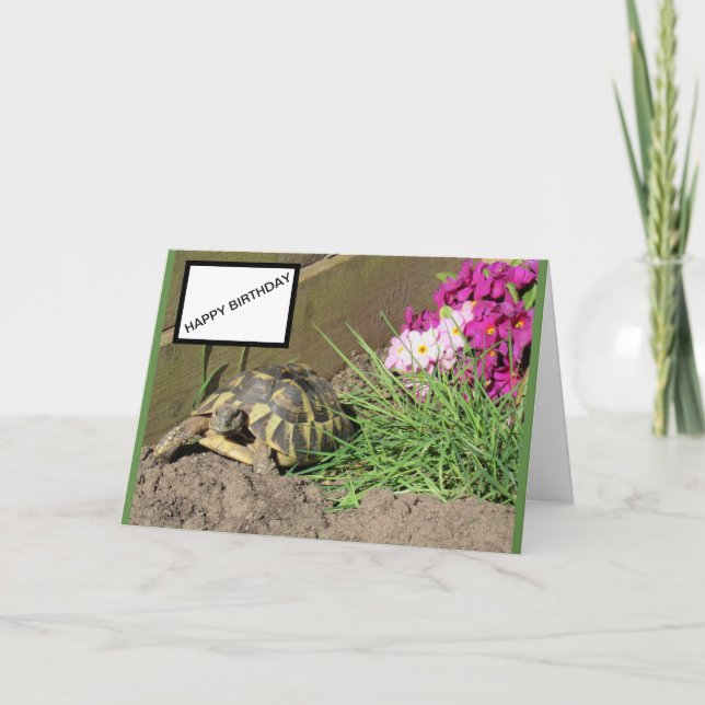 Tortoise Happy Birthday Card Karte (Vorderseite)