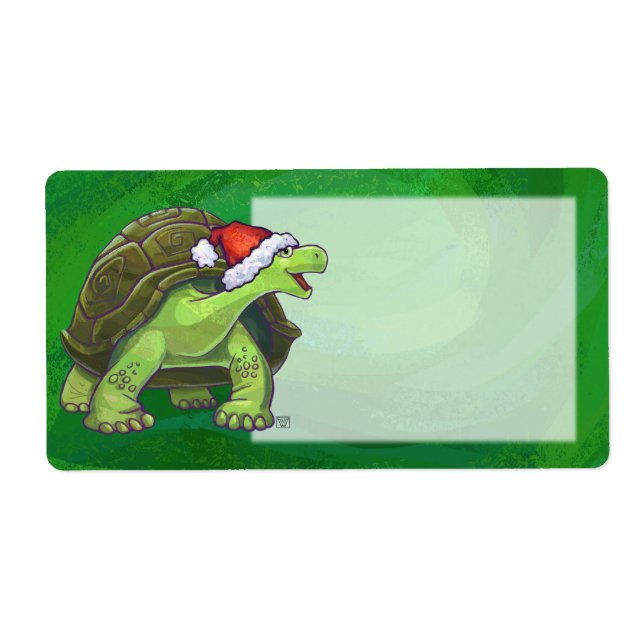 Tortoise in der Weihnachtsmannmütze auf grün (Vorne)