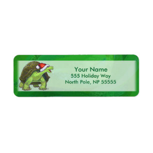 Tortoise in der Weihnachtsmannmütze auf grün