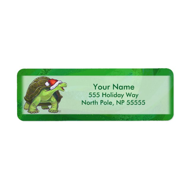 Tortoise in der Weihnachtsmannmütze auf grün (Vorne)