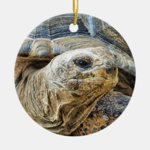 TORTOISE KERAMIK ORNAMENT