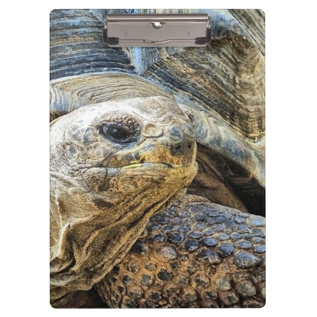 TORTOISE KLEMMBRETT (Vorderseite)