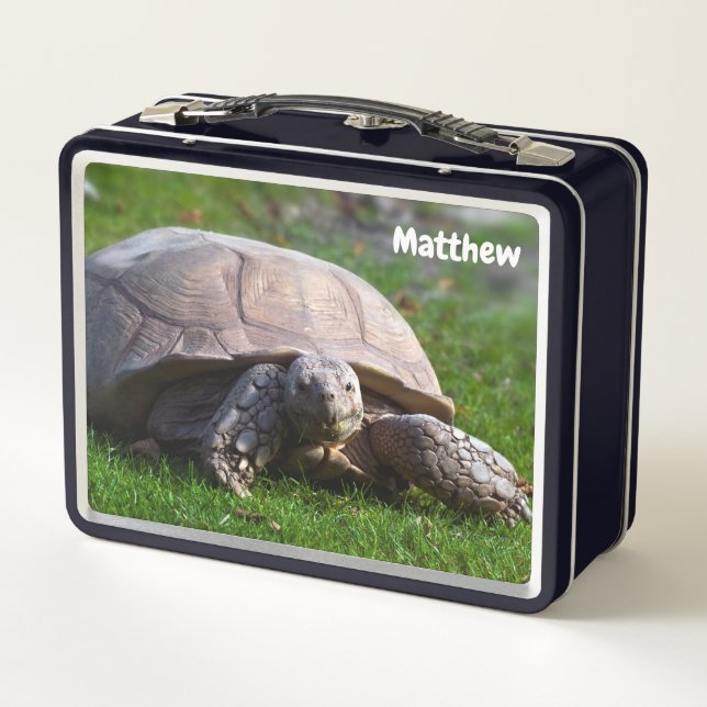 Tortoise Metal Lunchbox (Rückseite)