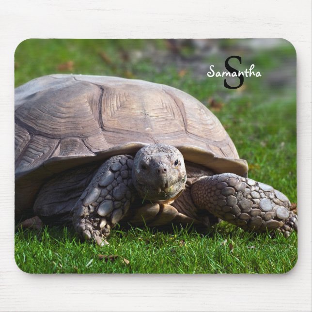 Tortoise Mouse mat Mousepad (Vorne)