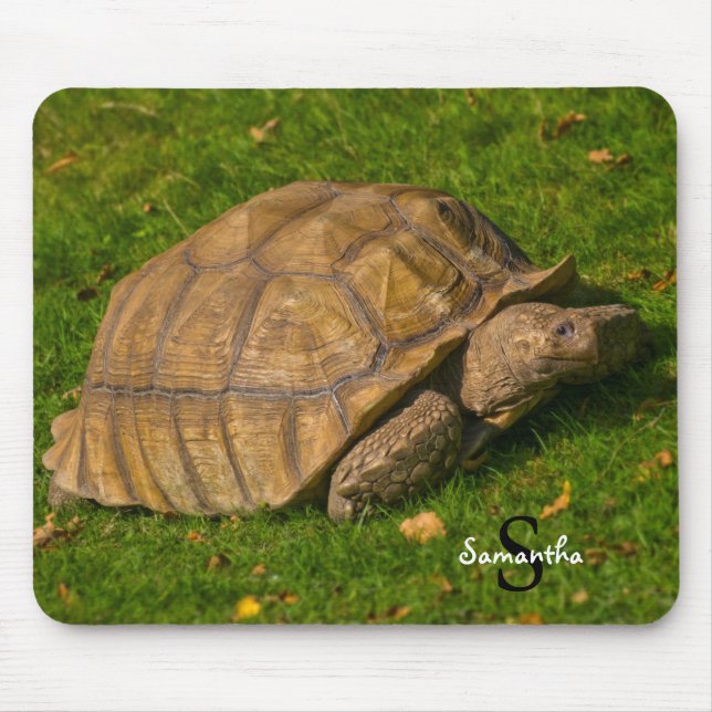 Tortoise Mouse mat Mousepad (Vorne)