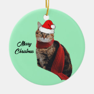 Tortoise Muschel Katze mit Skarf und Weihnachtsman Keramik Ornament