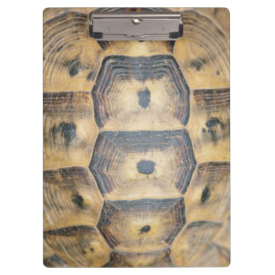 Tortoise Muschel Muster Klemmbrett