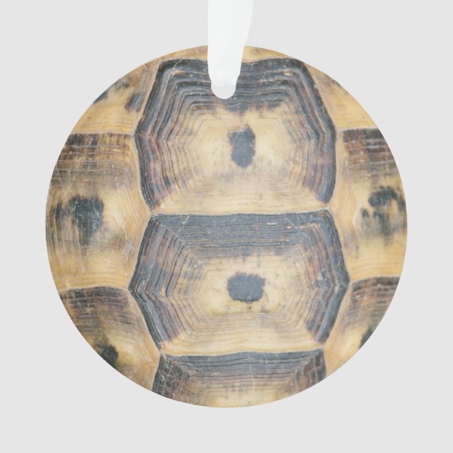 Tortoise Muschel Muster Ornament (Vorderseite)
