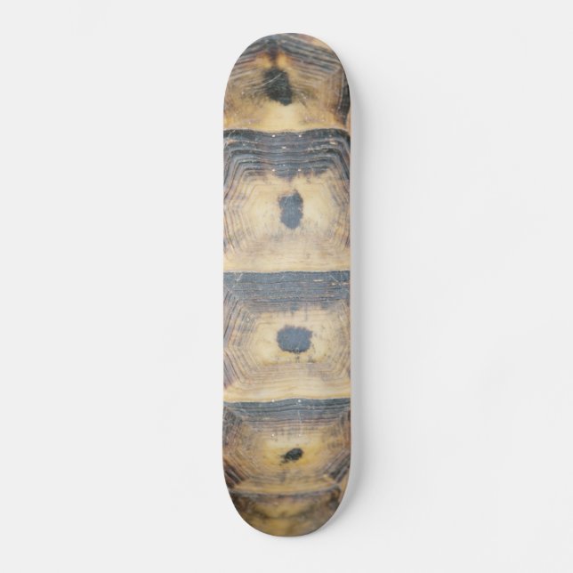 Tortoise Muschel Muster Skateboard (Vorderseite)