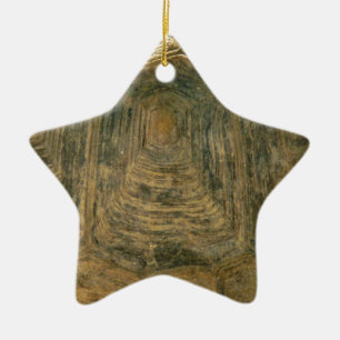 Tortoise Muschel Nature Foto Keramik Ornament