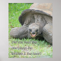 Tortoise Poster lächeln