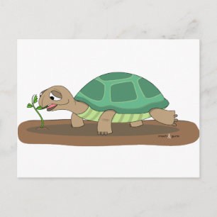 Tortoise Postkarte