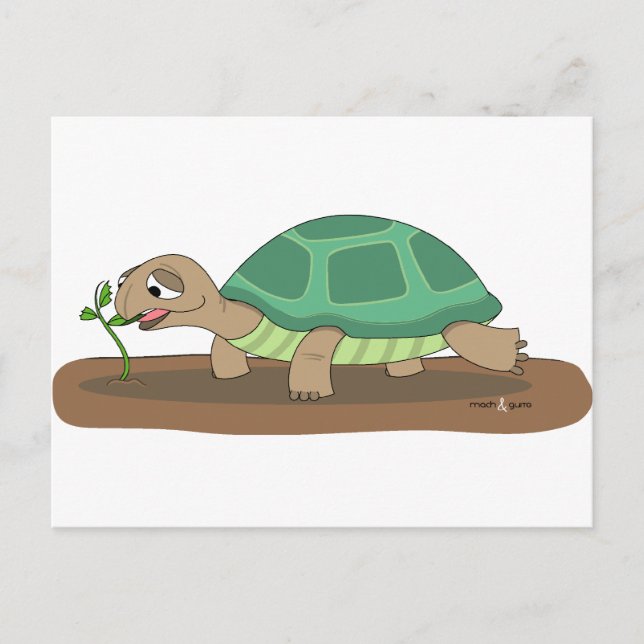 Tortoise Postkarte (Vorderseite)